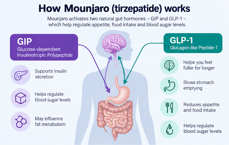 A guide to show how Mounjaro works